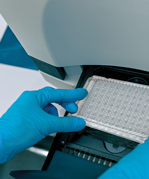 PCR Plates